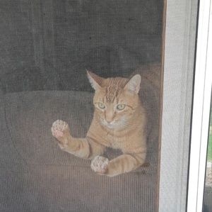 Meet your Posher, Jasmin